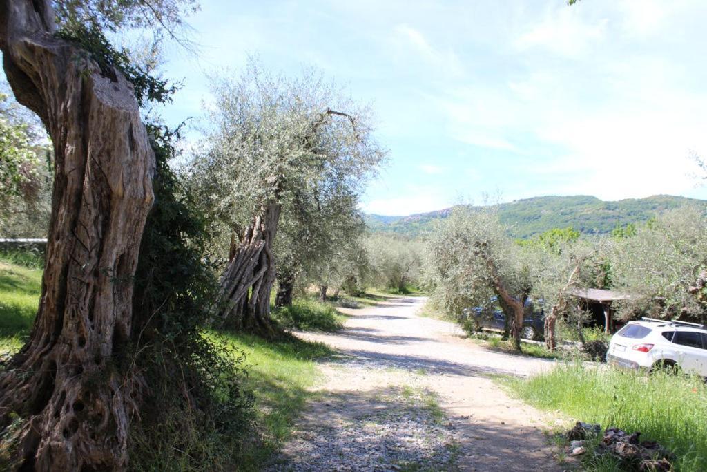 Podere Cerrete - Eco Farmhouse Castel del Piano  Dış mekan fotoğraf